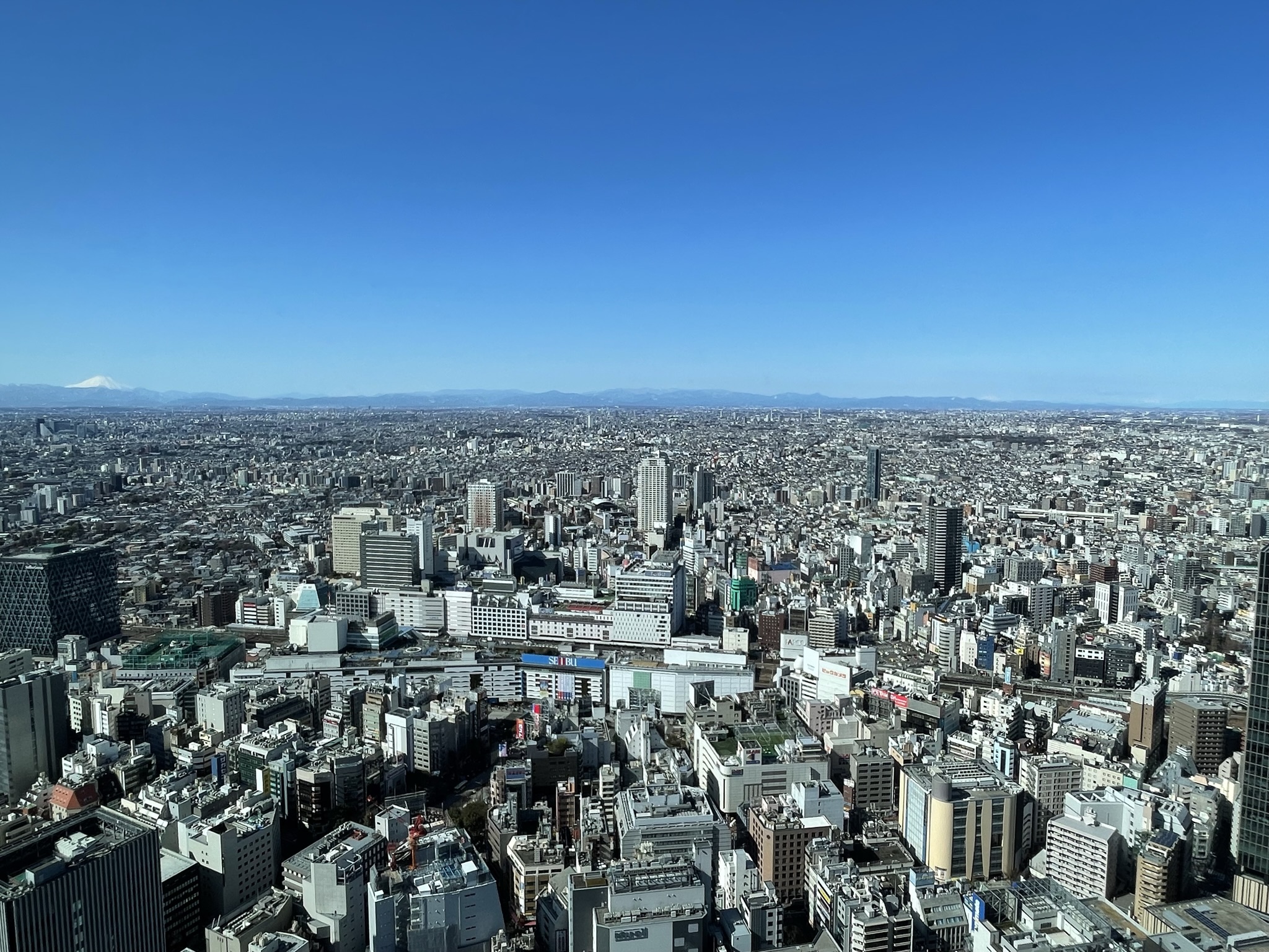 2022ー23年シーズン】マラソンの振り返りをGarminデータと感想でまとめます | ３０代からの自分磨き